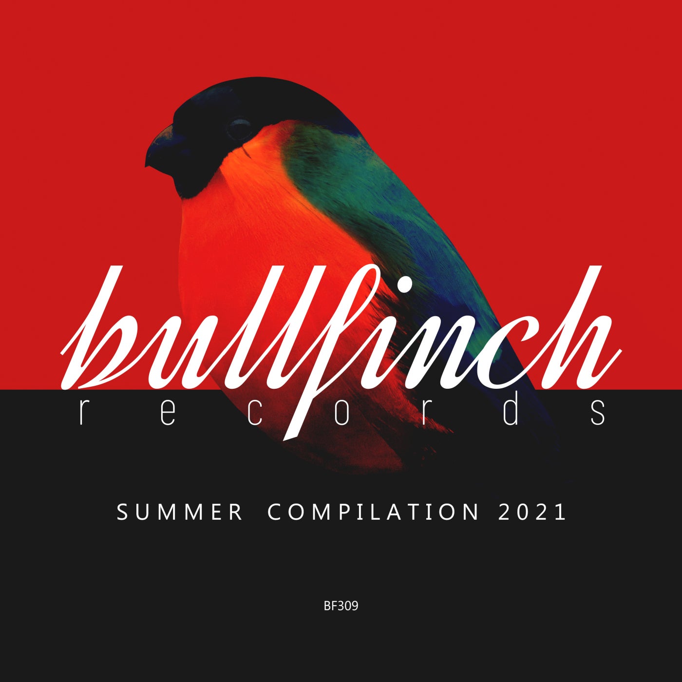 VA – Bullfinch Summer 2021 Compilation [BF309]